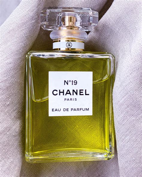 profumo simile a chanel 19|5 Best Perfume Similar To Chanel No 19 .